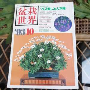 ☆盆栽世界　1993年10月　No.281 新企画出版局☆