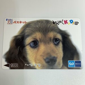 パスネット　東京メトロ　犬　子犬　どうぶつ　動物　わんぱくKIDS　4穴　使用済み