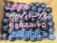 数量限定♡5.山形県産ぶどう　ナガノパープル　箱込み粒1キロ