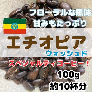 【自家焙煎珈琲100g/10杯分】エチオピア イルガチェフェ イディド ウォッシュ/モカ/スペシャルティコーヒー