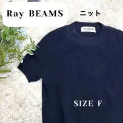 RayBEAMS レイビームス ニット ネイビー サイズF 半袖