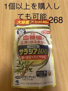 小林製薬 小林サラシア100 40日分 (120粒)