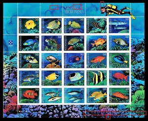 dδ394y4-2M　ミクロネシア1996年　魚・25種シート　25×20.5㎝