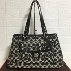 no28627 COACH コーチ F19043 ペネロピ シグネチャー バッグ