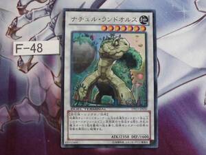 【 遊戯王】 ナチュルランドオルス　DTCウルトラ　DTC3-JP030　【即決】Ｆ-48