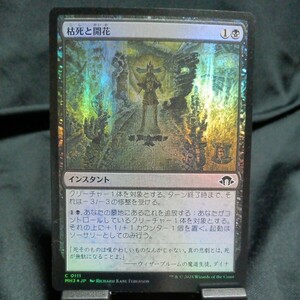 ☆MTG　枯死と開花　MH3