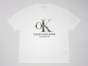 新品 CALVIN KLEIN JEANS EST.1978(カルバンクラインジーンズ エスタブリッシュド1978)Tシャツ☆Raf Simons(ラフシモンズ) 限定