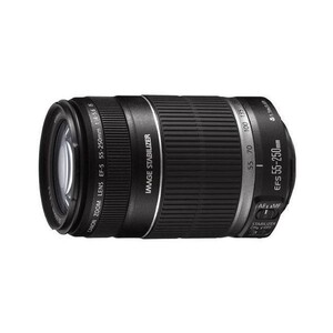 中古 １年保証 美品 Canon EF-S 55-250mm F4-5.6 IS