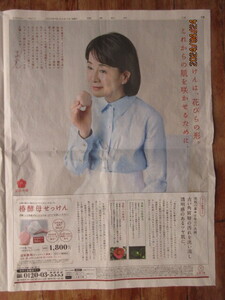 読売新聞 広告 2024年４月19日 吉永小百合 五島の椿　掲載面のみ