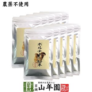 【本場イタリア産無農薬100%】 ポルチーニ茸の粉末 40g×10袋セット 送料無料