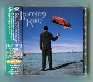 BURNING RAIN バーニング・レイン 1st 日本盤 帯付 廃盤 ダグ・アルドリッチ(LION ライオン , Whitesnake ホワイトスネイク , DIO ディオ)