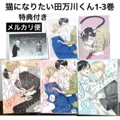 猫になりたい田万川くん1-3巻/灯乃 モト/特典付き