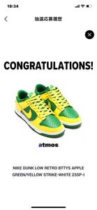 ☆ NIKE Dunk Low Reverse Brazil ダンク ブラジル新品未使用☆