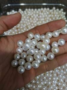 10個セット 天然本真珠 淡水パール 卸売り 6.4-7.4mm 淡水珍珠 超綺麗 裸 真珠 DIY 白 人気の真珠 超レア ジュエリー zz05