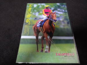 JRA ヒーロー列伝No.48 テイエムオペラオー クリアファイル 新品未開封 2015年来場ポイント