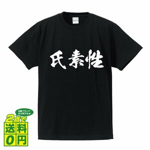 氏素性 (うじすじょう) 書道家が書く プリント Tシャツ S M L XL XXL 120 130 140 390 G-S G-M G-L 【 三字熟語 】