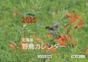 北海道の野鳥　オリジナル写真カレンダー2025年