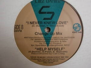 Chez Damier I Never Knew Love/carl craig 