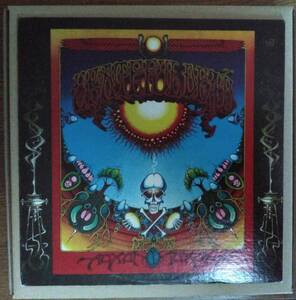 【ＵＳ　original】　Ｇrateful　Ｄead/　Ａoxomoxoa