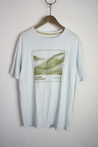 美品Patagoniaパタゴニア Premier Poster Regenerative Organic Pilot Cotton Tee ROCパイロット Tシャツ カットソー 37416 薄青813O