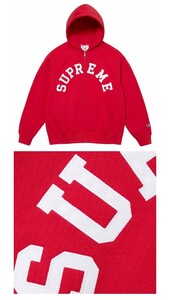 Supreme/Champion Zip Up Hooded Sweatshirt