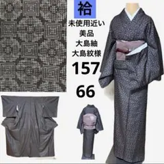 未使用近い　美品　袷　大島紬　龍郷や秋名バラを代表とする大島紋様　裄66