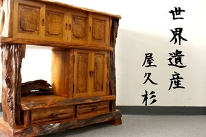 【董芸】伐採禁止 世界遺産 屋久杉 茶棚 違い棚 キャビネット 幅101㎝ 旧家蔵出品 [83D91]