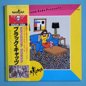 【帯付/試聴済LP】ブラック・キャッツ『クリーム・ソーダ・プレゼンツ』1981年デビュー盤VIH-28051★高田誠一 覚田修 片桐孝