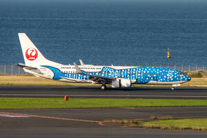 飛行機 デジタル 画像 JTA ジンベエジェット 6