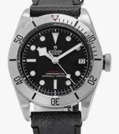 チューダー　チュードル　TUDOR ヘリテージ　ブラックベイ　スチール79730