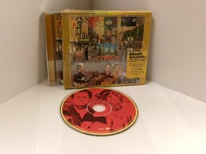 ▲CD BRIAN WILSON ブライアン・ウィルソン/ GETTING