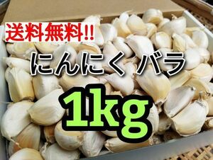 【送料無料】お買い得☆ 令和6年産 無農薬栽培　にんにく　１㎏　バラ ニンニク