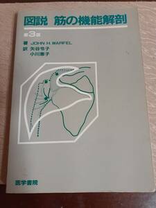 図説【筋の機能解剖】医学書院 整骨院　整体　カイロプラクティック　東洋医学　治療家