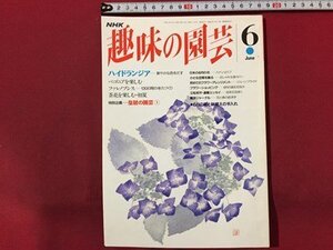 ｓ◆　平成5年　NHK 趣味の園芸 6月号　ハイドランジア　ベゴニア 他　日本放送出版局　書籍のみ　書籍　雑誌　/M99