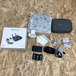 DJI Mavic mini Fly More Combo マビックミニ　フライモアコンボ　ドローン　飛行物　アクティビティ　撮影　飛行撮影mc01072818