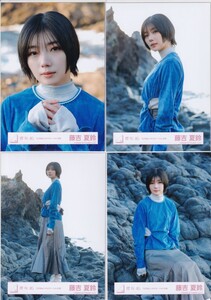 櫻坂46 藤吉夏鈴 「五月雨よ」MVロケーション衣装 生写真 4種コンプ