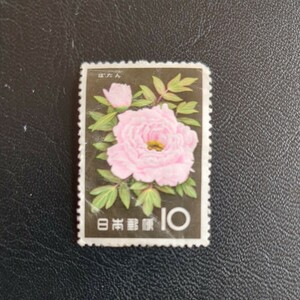 花シリーズ　1961 ぼたん　未使用