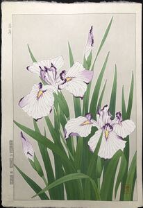 木版画 河原崎奨堂【菖蒲】芸艸堂版 大判 彫長島 摺吉田 真作保証 ■ 浮世絵 新版画 植物画 Ukiyoe 