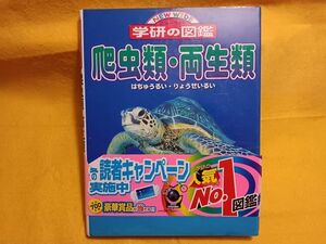 爬虫類・両生類 ニューワイド学研の図鑑　２０巻 トカゲ ヘビ ワニ カエル アガマ　中古 本　小学生　ふりがな付き 生物