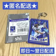 横浜DeNAベイスターズ 日本一 アクリルキーホルダー ジャクソン