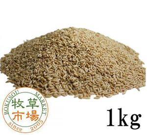 牧草市場 牧草市場 えん麦 1kg（殻なし）