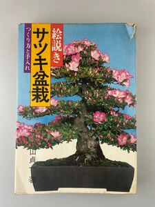 【送料無料】絵説きサツキ盆栽 つくり方と手入れ 片山貞一 昭和51年11版
