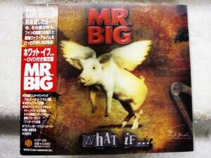 CD+DVD　MR.BIG/WHAT IF/限定盤/3Dスリップケース　