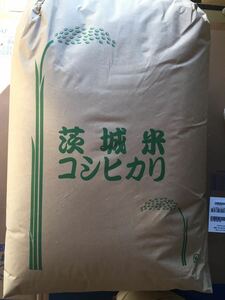 令和5年 茨城 茨城県産 JGAP認定農場　特別栽培米　こしひかり コシヒカリ 無農薬 30kg 低温貯蔵庫 玄米 ご飯 おにぎり 