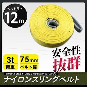 ★送料無料★ナイロンスリングベルト 12ｍ×3000kg×75mm 耐荷重3ｔ　1本