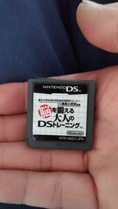 ニンテンドーDS脳を鍛える大人のDSトレーニング