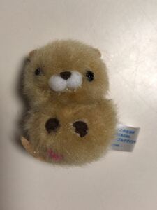 ♪ ぴよりーな ひよこのおかげ もふもふ　カワウソ　ひよこ 単品