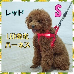 LED発光犬用ハーネス　USB充電式　夜散歩　安全　胴輪 光る 小型犬 中型犬　レッド