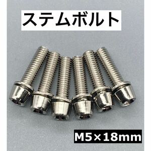 ステムボルトM5×18ｍｍ シルバー　銀　6本