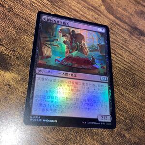 foil 実験的な菓子職人　ギャザリング mtg エルドレインの森